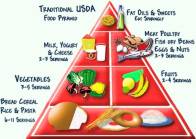 old-food-pyramid